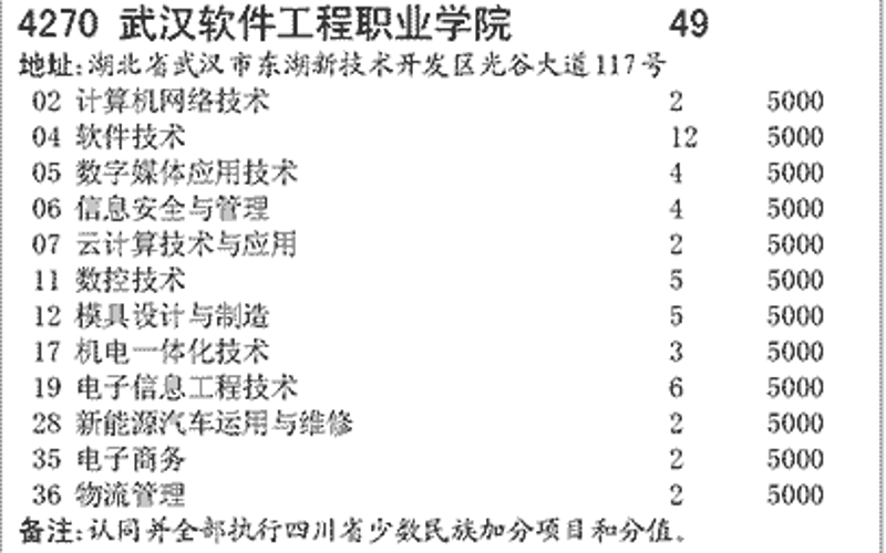 武汉软件开发——技术与创新双驱动的时代引擎